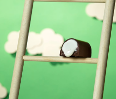 BOMBOM MARSHMALLOW AO LEITE VEGANO 11,5G