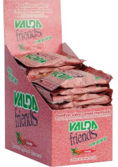 VALDA PASTILHAS FRIENDS MORAN. SACHE 25G