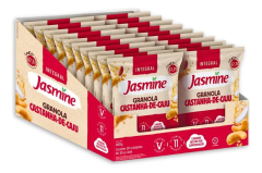 GRANOLA CASTANHA DE CAJU 30G