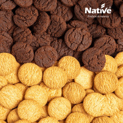 MINI COOKIE ORG. BAUNILHA  40G