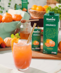 NECTAR DE TANGERINA ORGÂNICO  1LT
